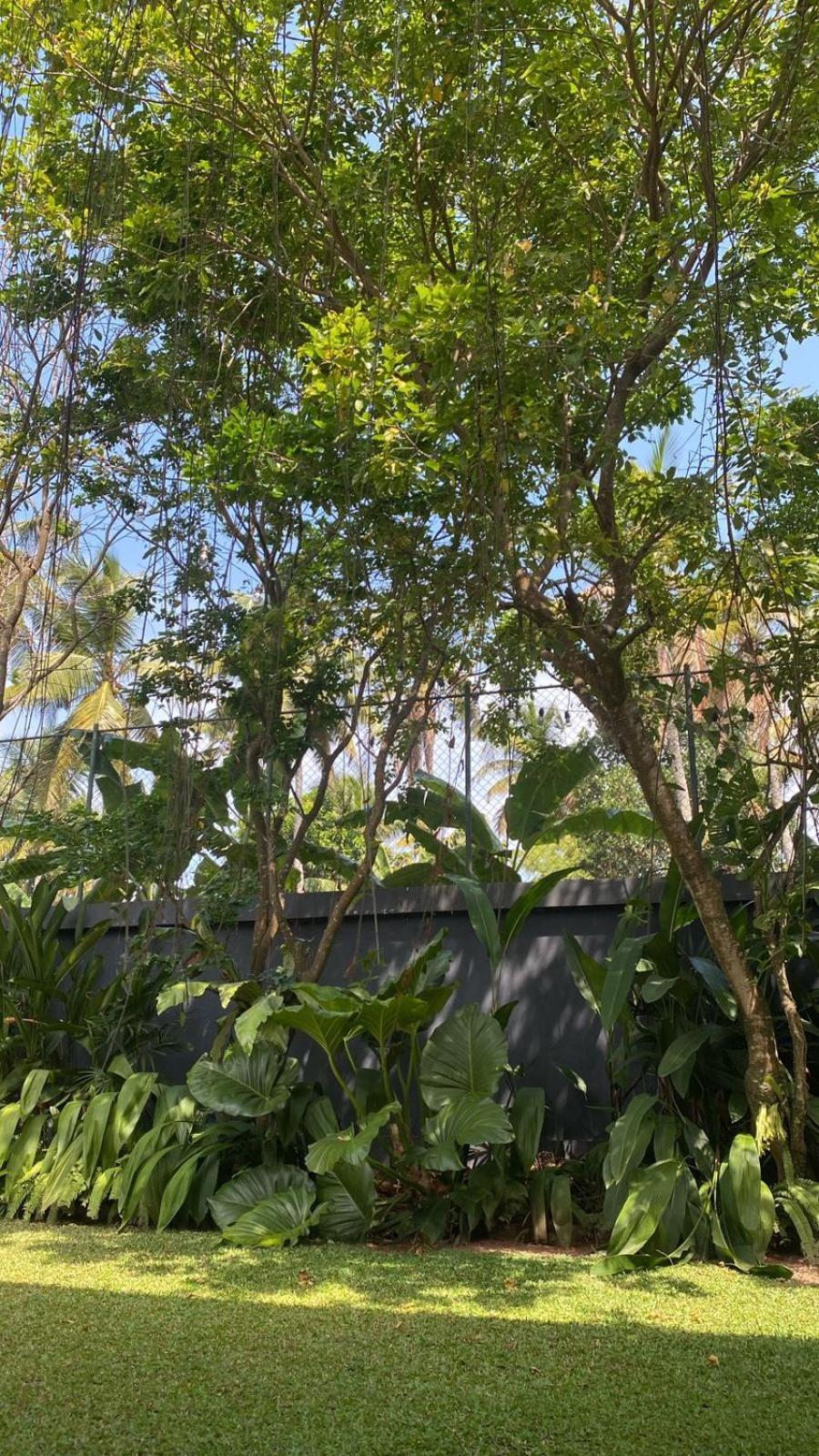 Lush Ayu Villa Ja-Ela Exterior photo