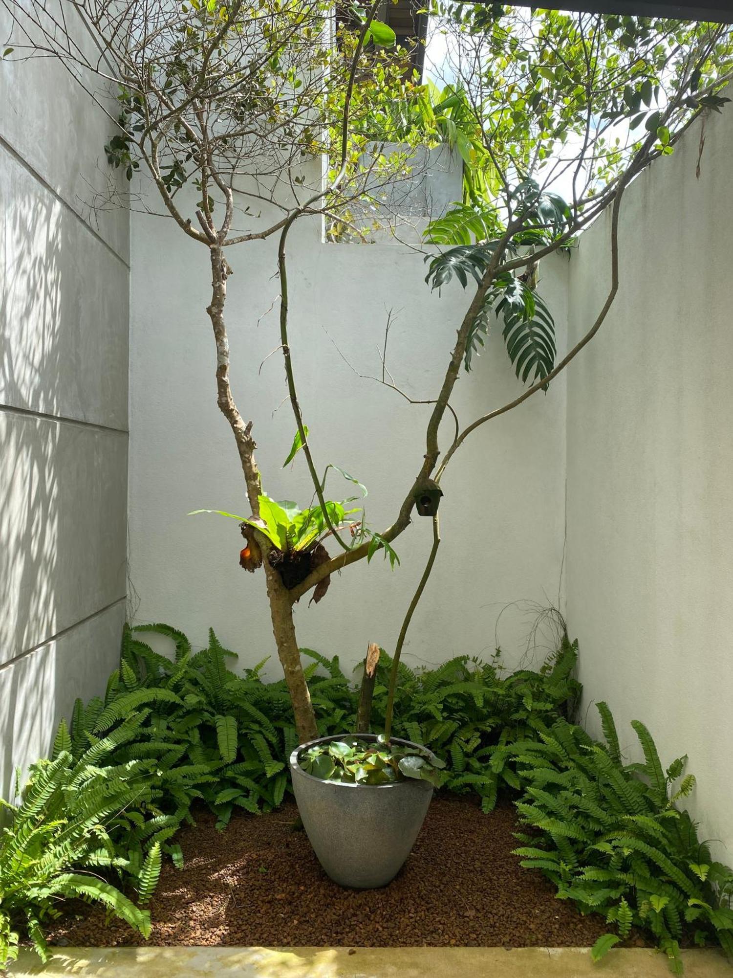 Lush Ayu Villa Ja-Ela Exterior photo