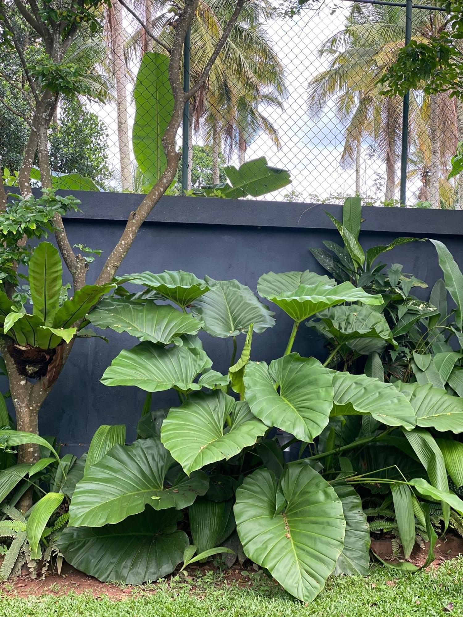 Lush Ayu Villa Ja-Ela Exterior photo